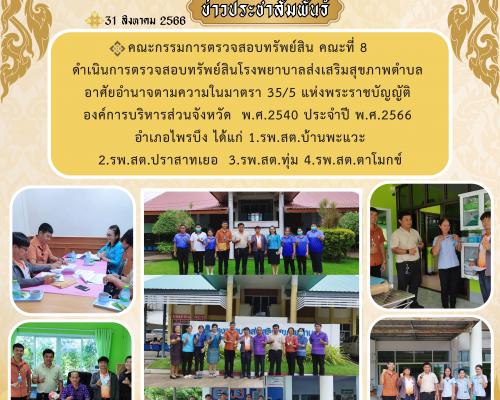 คณะกรรมการตรวจสอบทรัพย์สิน